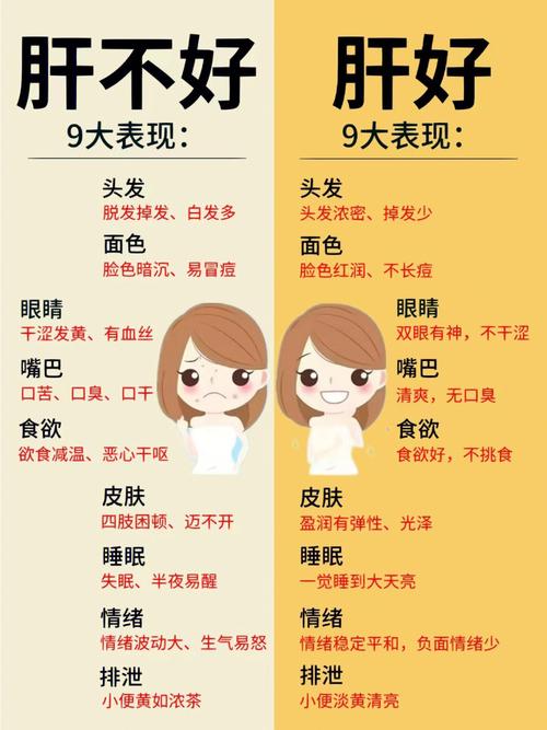 肝不好有哪些癥狀，全面解析肝臟健康警示信號，肝臟健康警示信號解析，癥狀表現(xiàn)與肝臟健康關(guān)系全面解讀