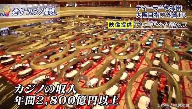 新澳門特生肖走勢圖及其相關(guān)SEO分析，澳門特生肖走勢圖及其SEO策略分析