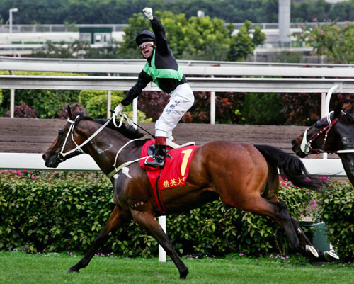 香港王中王一肖中特馬的奧秘與探索，香港王中王一肖中特馬的奧秘探索之旅