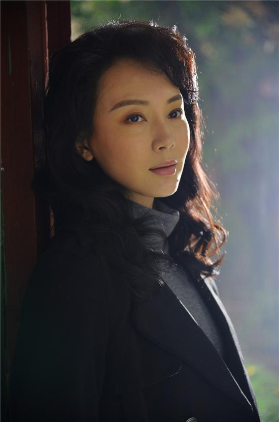 陳數(shù)演的電視劇，演技與魅力的展現(xiàn)，陳數(shù)演技展現(xiàn)，電視劇中的魅力與風(fēng)采