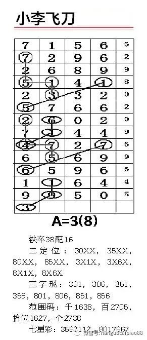 一肖二碼中平特，揭秘彩票奧秘與策略，揭秘彩票奧秘，一肖二碼中平特策略揭秘