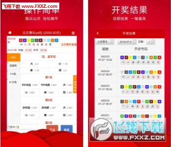 揭秘2019年王中王一肖，星途璀璨的背后故事，揭秘王中王一肖星途璀璨，2019年背后的故事