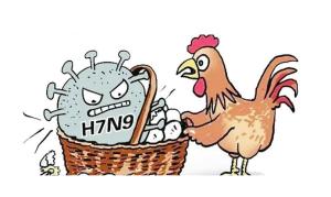 揭秘H7N9病毒，了解它的起源、特性與影響，H7N9病毒揭秘，起源、特性與影響全解析