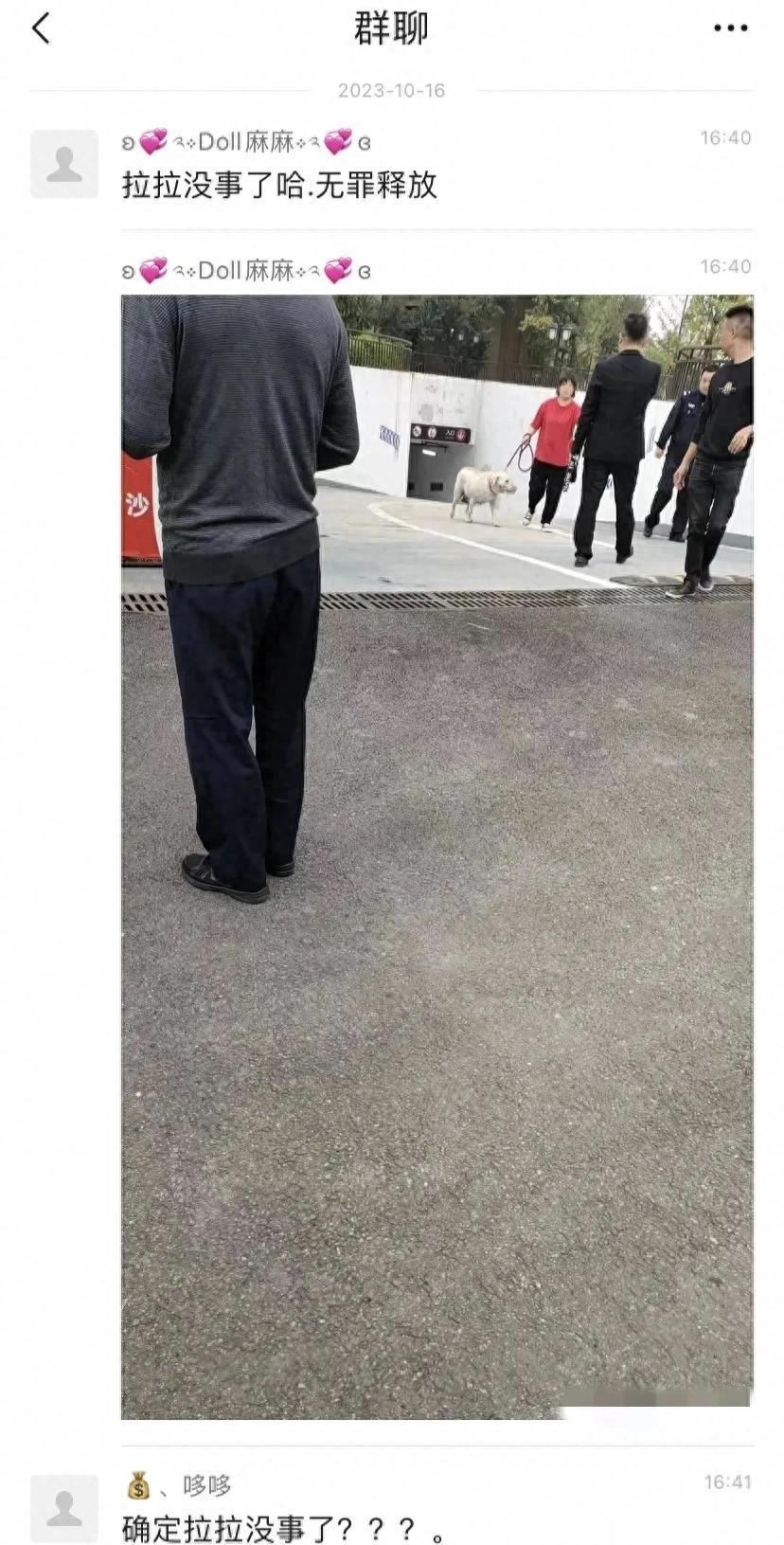 狗咬了多久過安全期，深入了解與應(yīng)對方法，狗咬傷后的安全期及應(yīng)對方法詳解