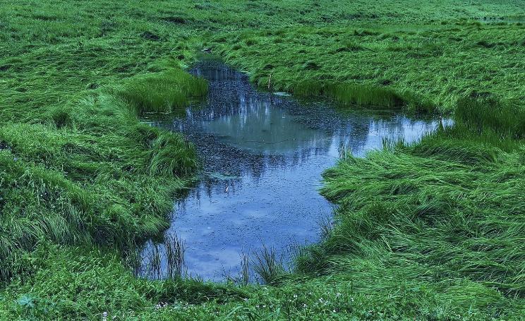 武漢游玩景點推薦——探索古都的韻味與美景，武漢游玩攻略，探尋古都韻味與美景的絕佳地點