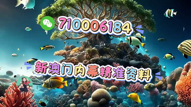 澳門正版生肖圖，探索未來的精準(zhǔn)預(yù)測與生肖運(yùn)勢展望（2025年），澳門正版生肖圖揭秘，未來生肖運(yùn)勢展望與精準(zhǔn)預(yù)測（2025年）