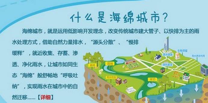 王中王114期指一生肖——深度解析與探索,王中王114期生肖深度解析與探索之旅