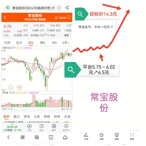 常寶股份，探究與解析，常寶股份深度探究與解析
