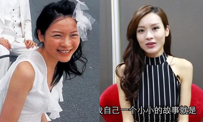 香港女明星名字大全圖，璀璨星光下的美麗傳奇，璀璨星光下的美麗傳奇，香港女明星名字大全圖
