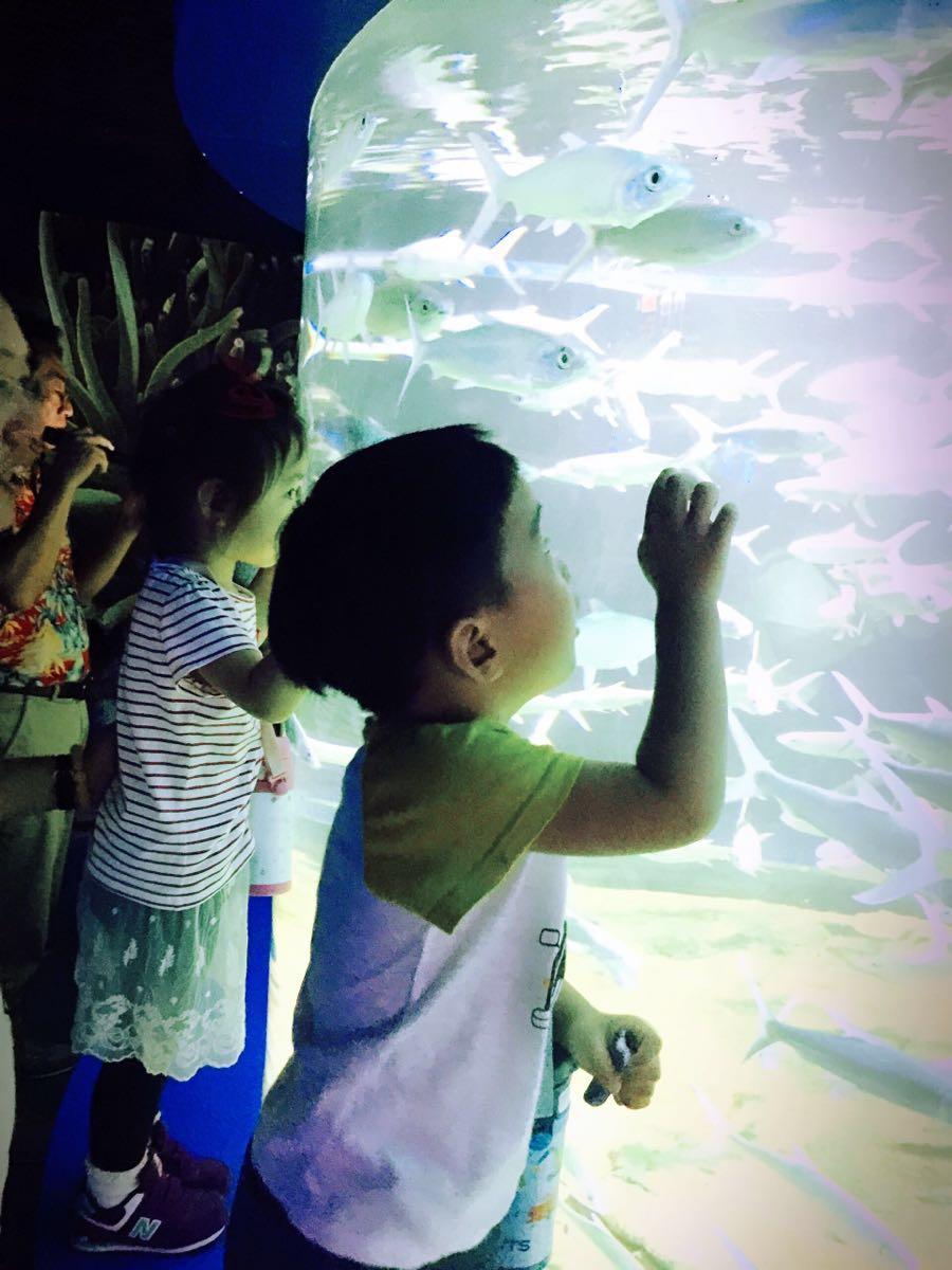 大連兩日游攻略，探索這座城市的魅力，大連兩日游攻略，探尋城市魅力之旅