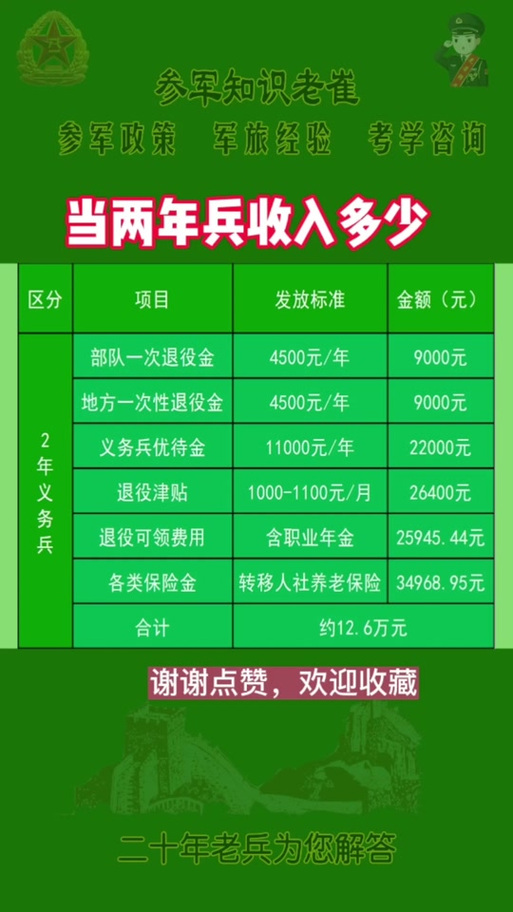 關于義務兵兩年能拿多少錢的全面解析，全面解析，義務兵兩年收入概覽