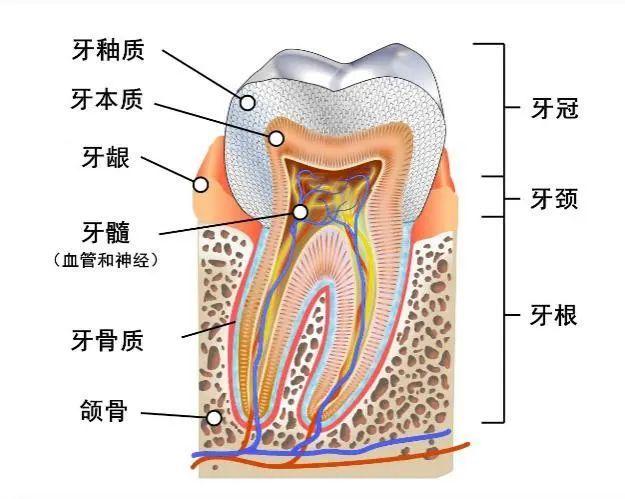 男人更年期一般多久，全面解析與關(guān)注，全面解析與關(guān)注，男人更年期的時長及影響