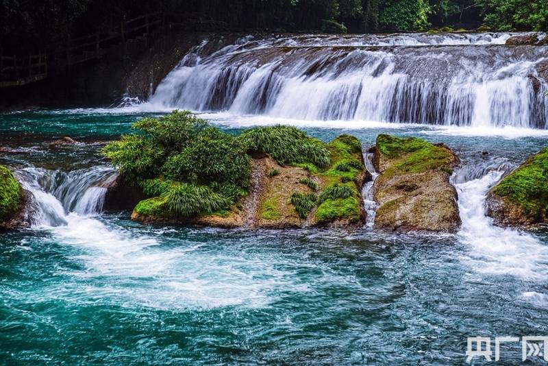 探索神秘的管家婆四肖四碼，車連的秘密與魅力，揭秘管家婆四肖四碼，車連背后的神秘魅力