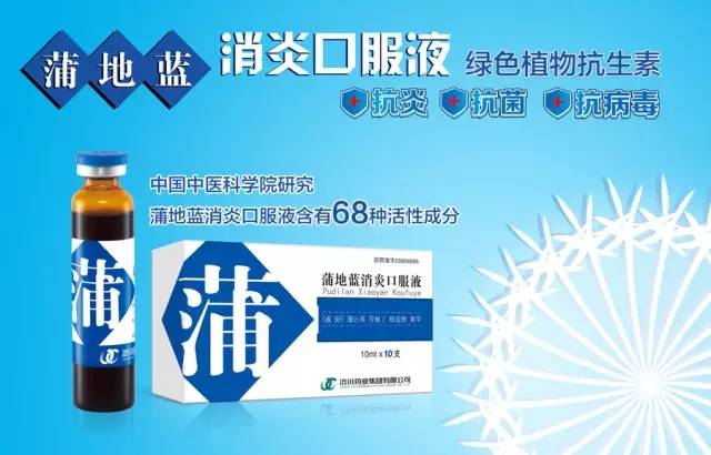 蒲地藍(lán)口服液的功效與作用，深入了解與正確使用，蒲地藍(lán)口服液，功效、作用及正確使用指南