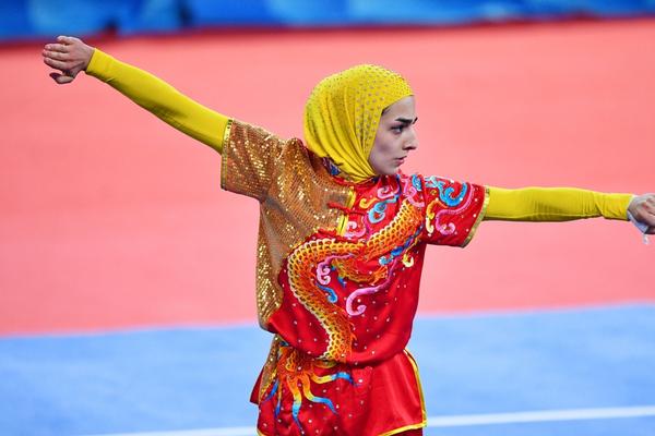 揭秘504王中王一肖，背后的故事與傳奇，揭秘王中王一肖傳奇，背后的故事與神秘面紗