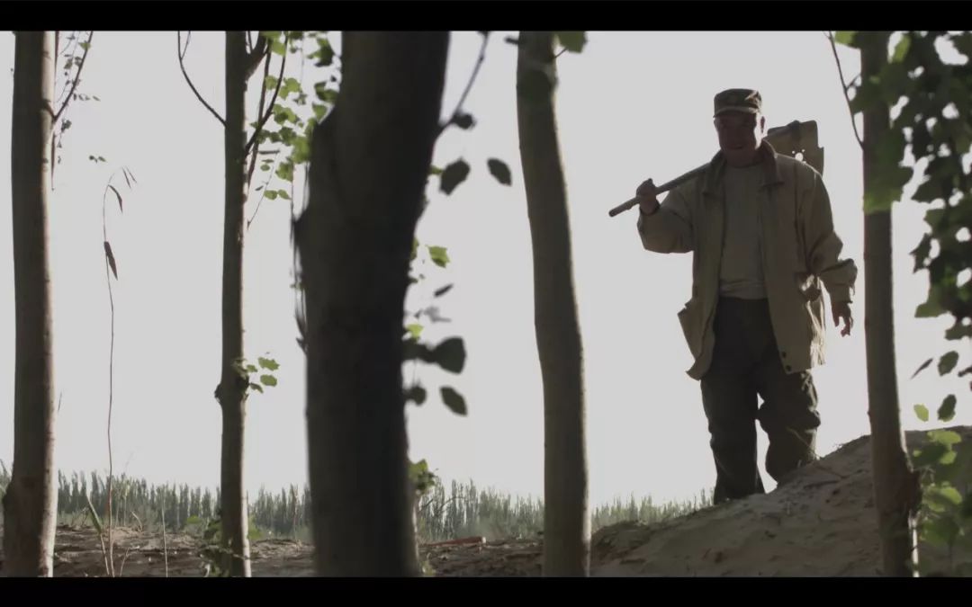 今晚劉伯溫四不像一肖圖，揭秘神秘預(yù)測(cè)背后的故事，揭秘劉伯溫四不像一肖圖的神秘預(yù)測(cè)故事