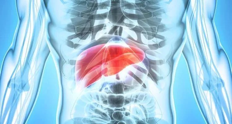 肝不好有什么癥狀，全面解析與關(guān)注，全面解析關(guān)注，肝臟不良癥狀的表現(xiàn)