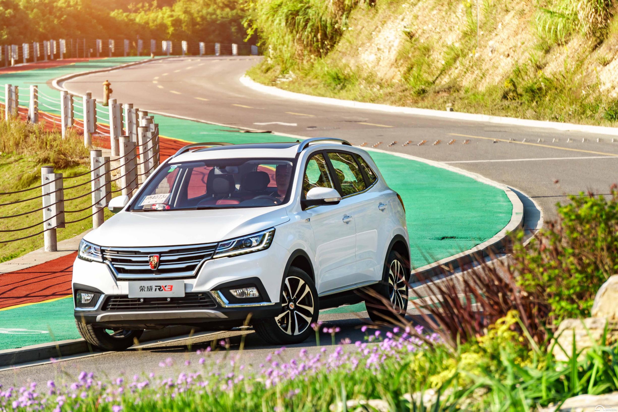 王中王163期指一生肖，揭秘背后的奧秘與生肖文化，揭秘生肖奧秘，王中王生肖文化探尋第163期特輯