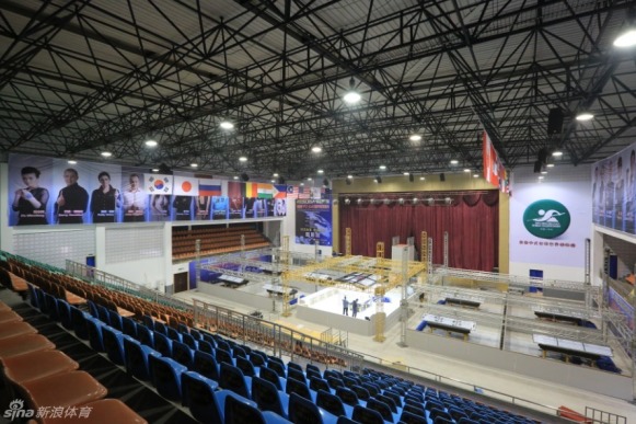 王中王一肖一馬中特平臺(tái)，探索與解析，王中王一肖一馬中特平臺(tái)深度探索與解析