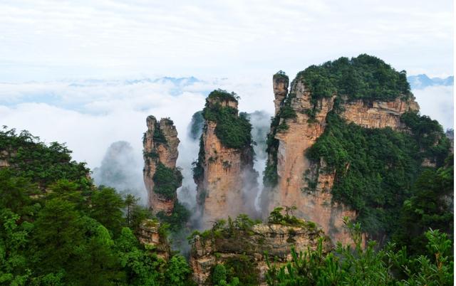 張家界森林公園簡介，自然之美的獨特呈現(xiàn)，張家界森林公園，自然之美的獨特呈現(xiàn)