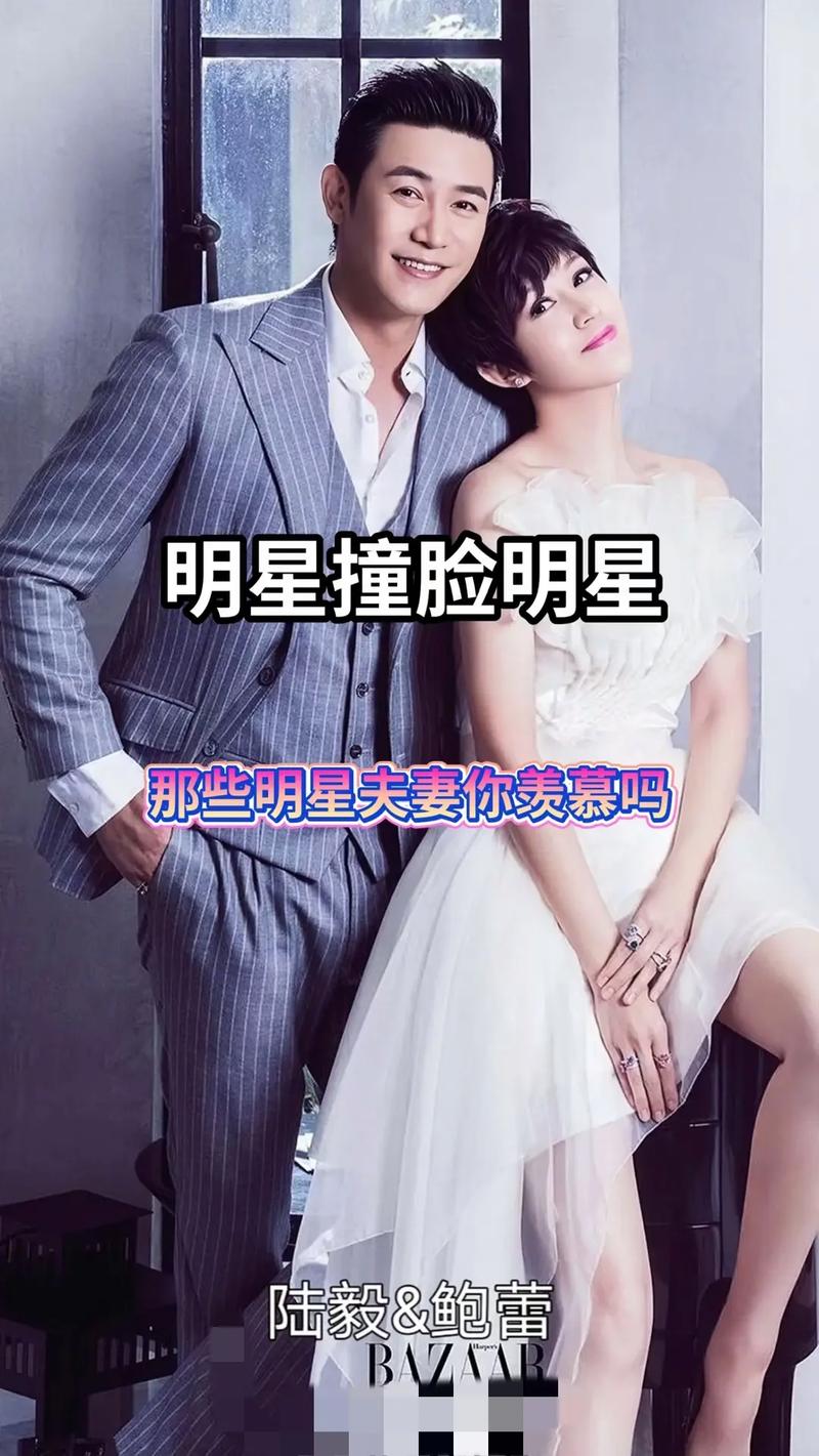 明星夫妻名單大全，揭秘娛樂圈的愛情佳話，娛樂圈明星夫妻名單揭秘，愛情佳話大全