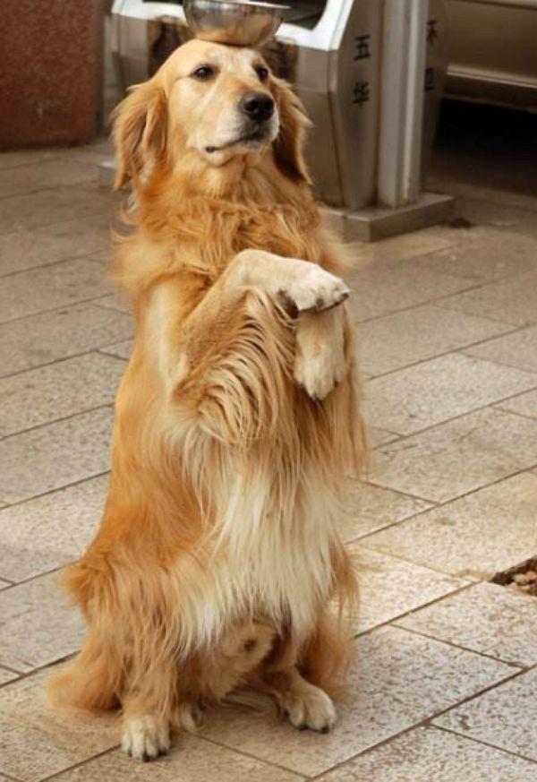 懷孕頭三個(gè)月，慎談喜事，關(guān)愛健康，懷孕頭三個(gè)月，謹(jǐn)慎談喜，重視健康關(guān)愛