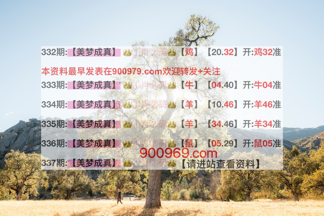 澳門寶典，探索最快開獎結(jié)果及其魅力，澳門寶典，探索最新開獎速度與魅力所在