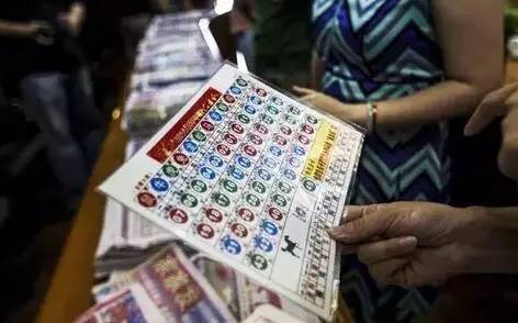 香港王中王開獎結果查詢，今晚開獎盛況一覽，香港王中王開獎結果查詢，今晚盛況揭曉，最新開獎信息一覽