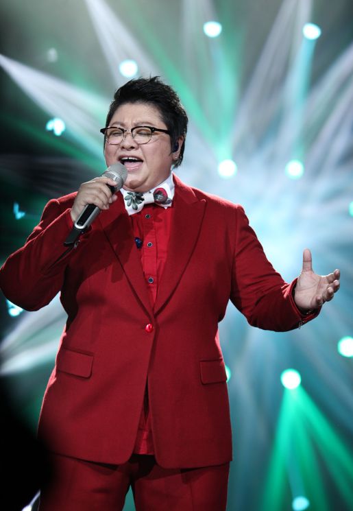 韓紅個人資料簡介——華語樂壇的璀璨之星，韓紅——華語樂壇的耀眼之星，個人資料揭秘