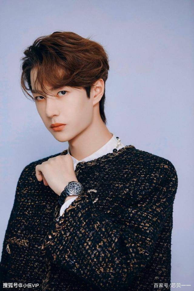 王中王一肖中特資料圖片——深度解析與SEO優(yōu)化文章，王中王一肖中特資料圖片的深度解析與SEO優(yōu)化探討