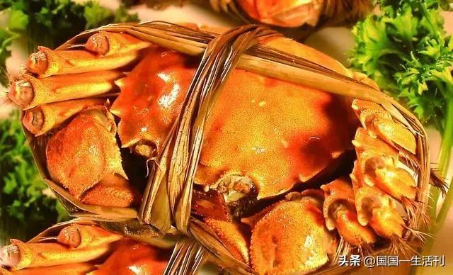 螃蟹放一宿死啦第二天能否食用？全面解析與注意事項(xiàng)，螃蟹死亡后的食用問題解析，能否食用隔夜死蟹及注意事項(xiàng)