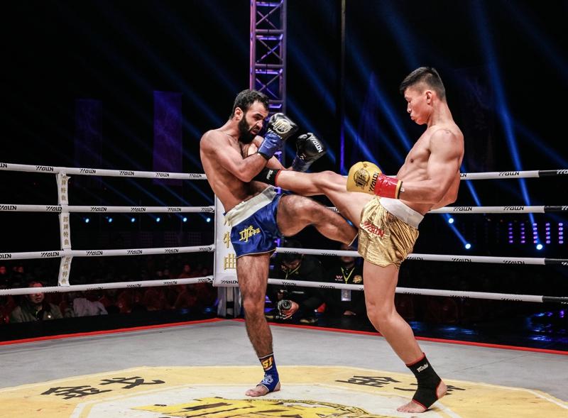 王中王網(wǎng)四肖主一碼，深度解析與SEO優(yōu)化策略，王中王網(wǎng)四肖主一碼，深度解析與SEO優(yōu)化策略全攻略