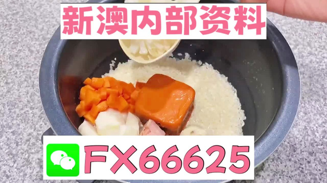 新奧精準(zhǔn)免費(fèi)資料提供，探索與實(shí)踐的完美結(jié)合，新奧精準(zhǔn)免費(fèi)資料探索，實(shí)踐與完美結(jié)合的探索之旅