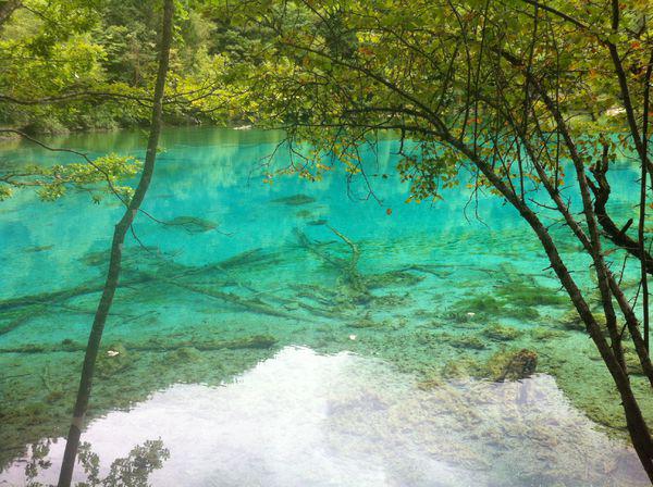 揭秘最佳旅游季節(jié)，幾月份去九寨溝旅游最好？，揭秘最佳旅游季節(jié)，揭秘幾月份去九寨溝旅游最佳體驗？