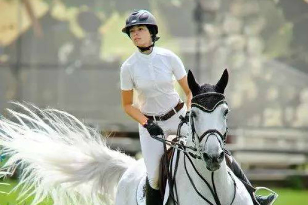 劉伯溫四肖選一碼