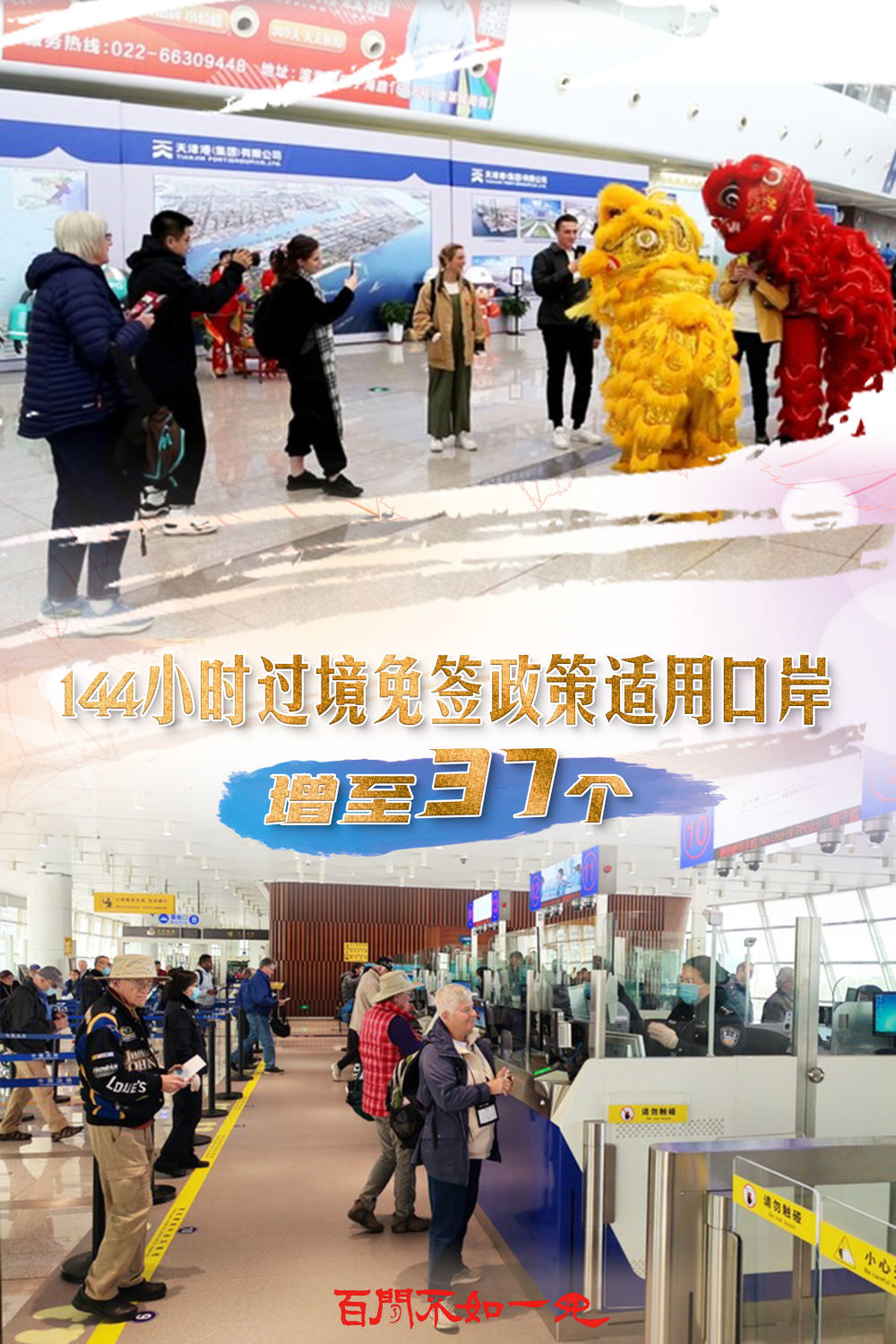 澳門王中王，揭秘一肖一特一中奧秘，澳門王中王揭秘生肖秘密，一肖一特一中奧秘探秘