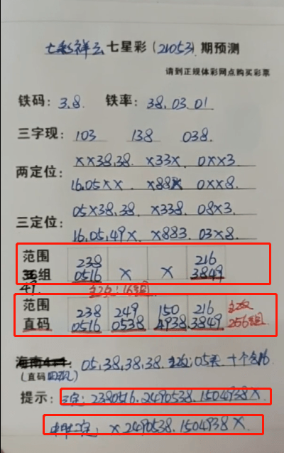 鐵算盆王中王中特一肖，揭秘背后的秘密與策略，揭秘鐵算盆王中王特一肖背后的秘密與策略之道