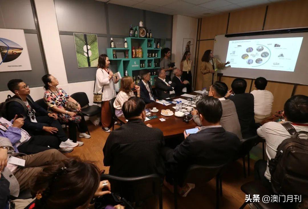 最新澳門六合開彩，探索與解析，澳門六合開彩最新解析與探索