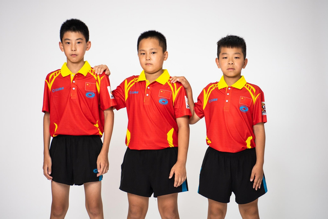 王中王白小姐四肖選一，揭秘背后的秘密與策略，揭秘王中王白小姐四肖選一背后的秘密與策略之道