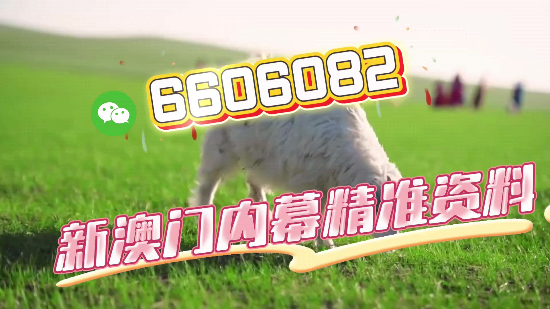 今晚澳門必開一肖一碼，揭秘生肖與彩票的神秘聯(lián)系，揭秘生肖與彩票的神秘聯(lián)系，今晚澳門必開一肖一碼揭曉答案