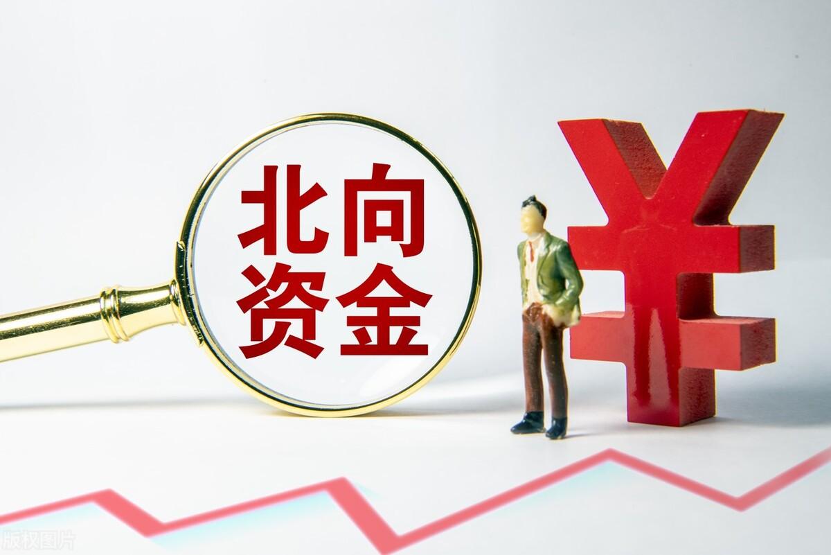 揭秘中國股市中的明星股——代碼為000540的股票深度解析，揭秘中國股市明星股，代碼000540股票深度剖析