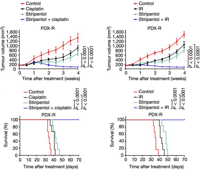 乳酸脫氫酶偏高的原因及其影響，乳酸脫氫酶偏高原因及其影響解析