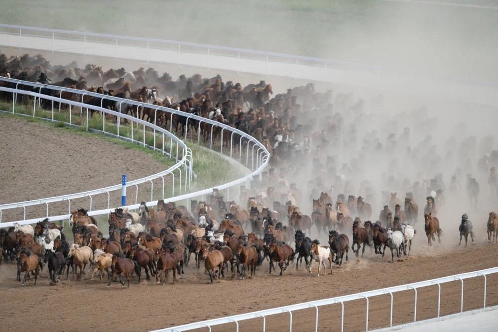 澳門賽馬會(huì)，最快開獎(jiǎng)直播的全面解析，澳門賽馬會(huì)，最快開獎(jiǎng)直播詳解