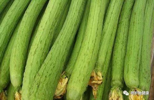 絲瓜，功效、作用與禁忌事項(xiàng)詳解，絲瓜，功效、作用及禁忌事項(xiàng)全解析