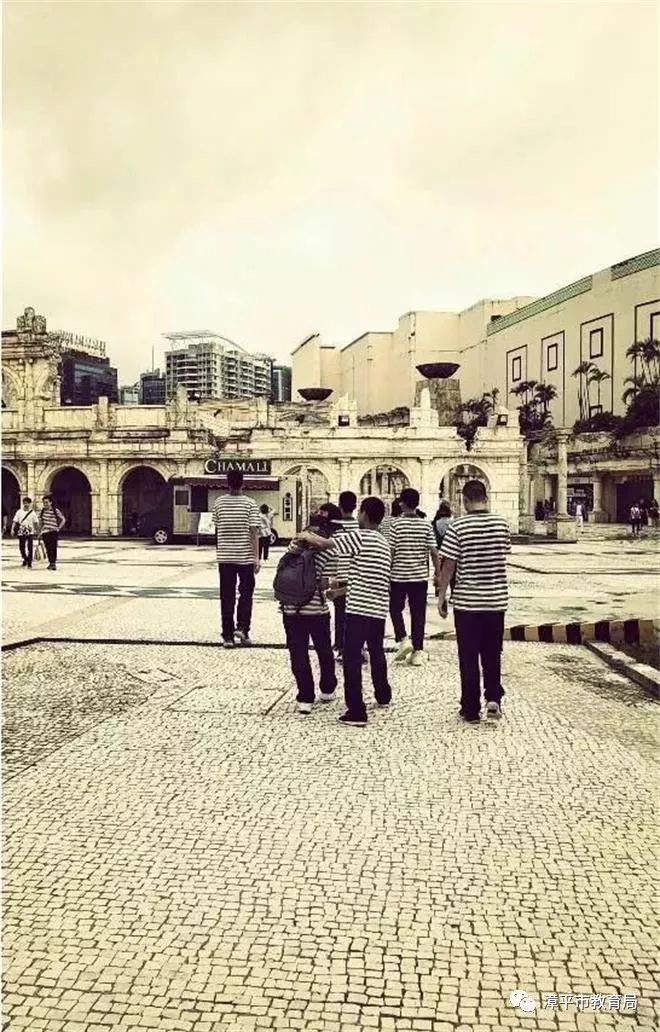 新澳門一碼一肖一特一中，揭秘第52期看圖預(yù)測的魅力，揭秘新澳門一碼一肖一特一中第52期看圖預(yù)測的魅力