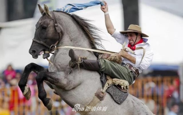 王中王四不像一肖中馬——探尋神秘生肖的魅力，探尋神秘生肖馬之魅力，王中王四不像一肖中馬揭秘