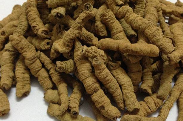 巴戟天的作用和功效，深入解析傳統(tǒng)中藥材的魅力，巴戟天的功效與作用，揭示傳統(tǒng)中藥材的奧秘與魅力