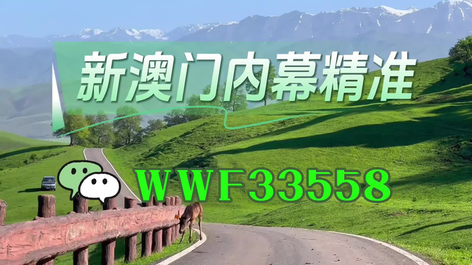 澳門精準免費大全，探索未來的預(yù)測與機遇（2025年展望），澳門未來展望，精準預(yù)測與機遇探索（2025年）