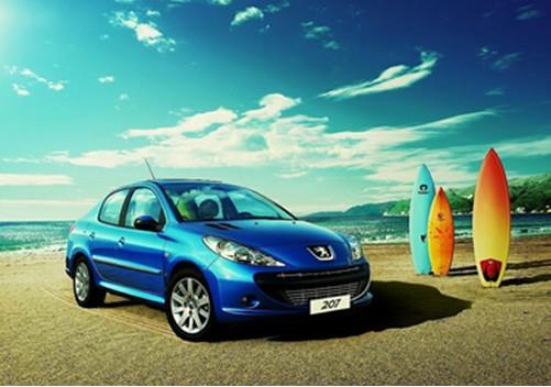 王中王307期指一生肖——深度解讀與SEO優(yōu)化，王中王307期生肖深度解讀與SEO優(yōu)化策略揭秘