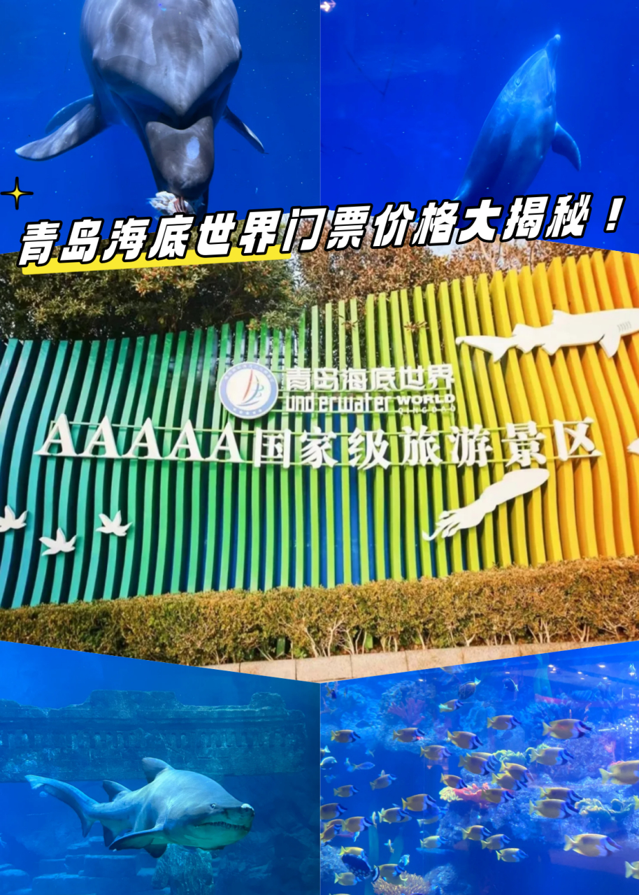 青島海底世界門票是否免費？一篇文章帶你了解全部信息，青島海底世界門票全面解析，免費與否？一篇文章告訴你答案！